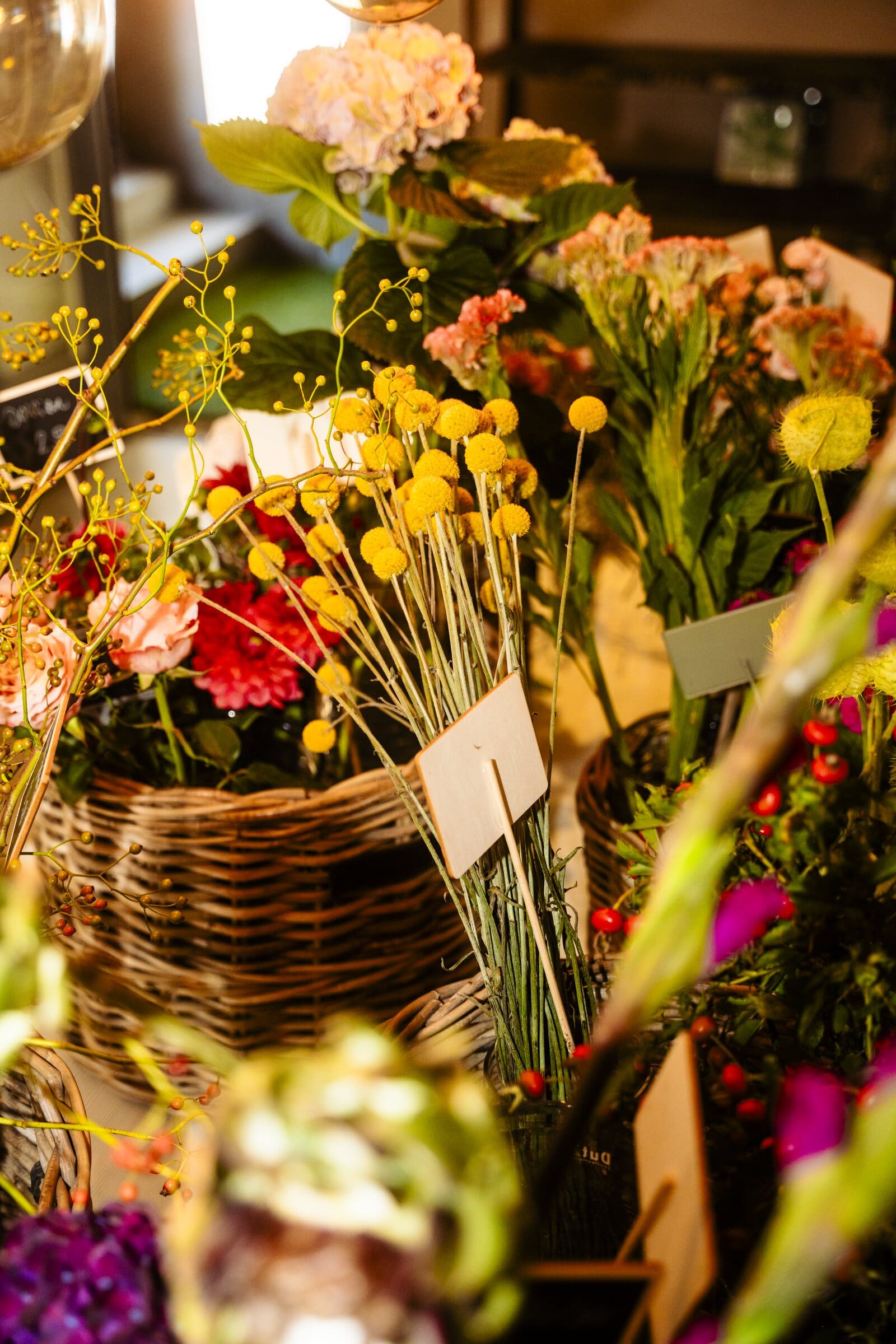 Bunte Schnittblumen in Körben: Nelken, Craspedia und Chrysanthemen