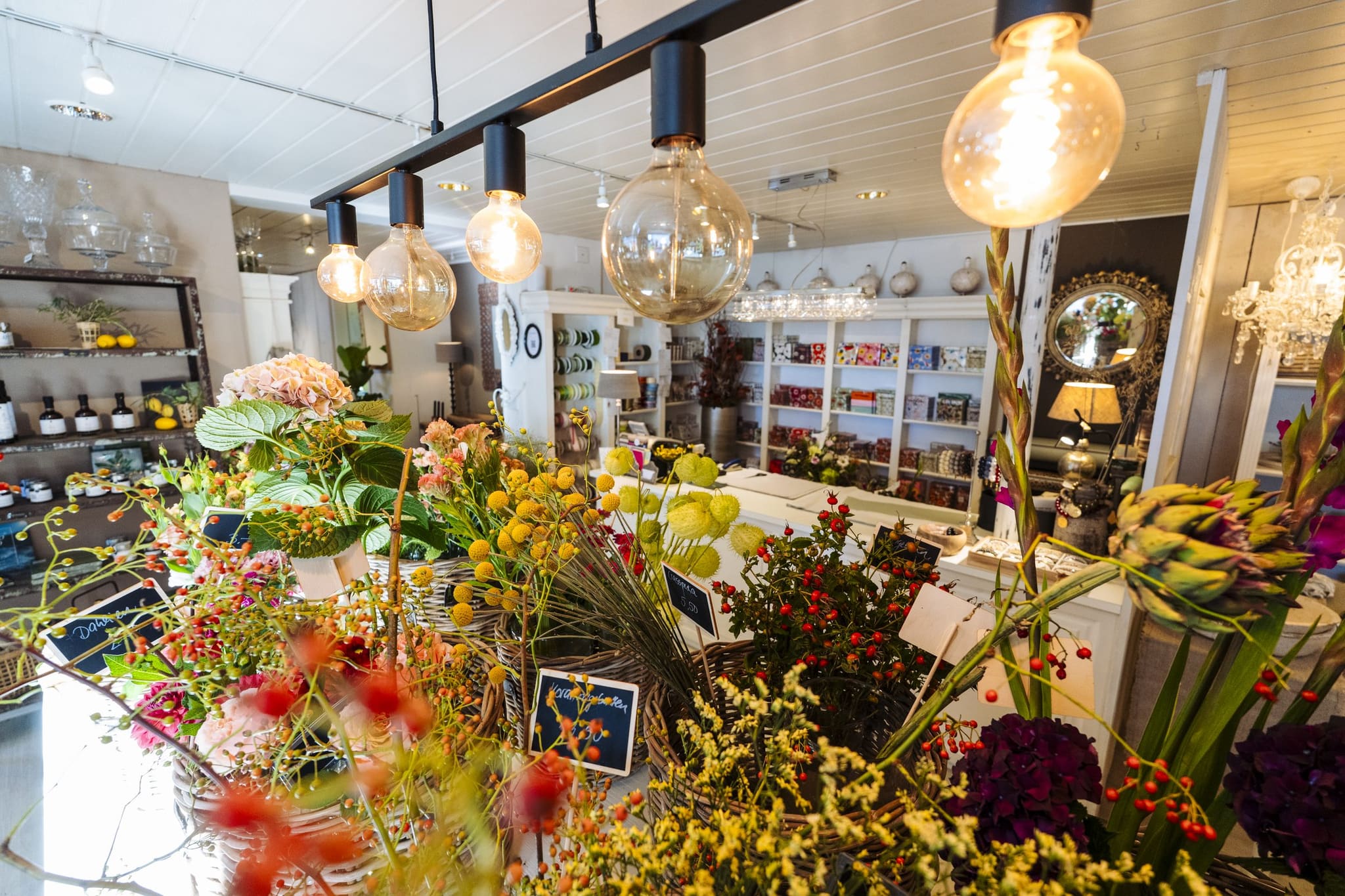 Blumenfülle unter den Pendelleuchten in unserem Geschäft