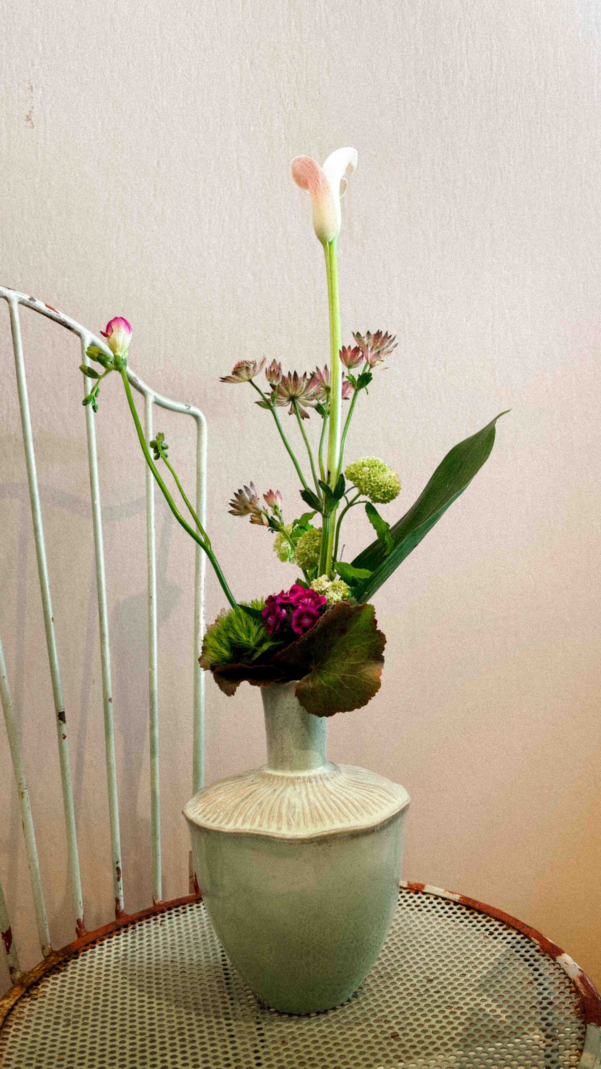 Tulpen & Narzissen